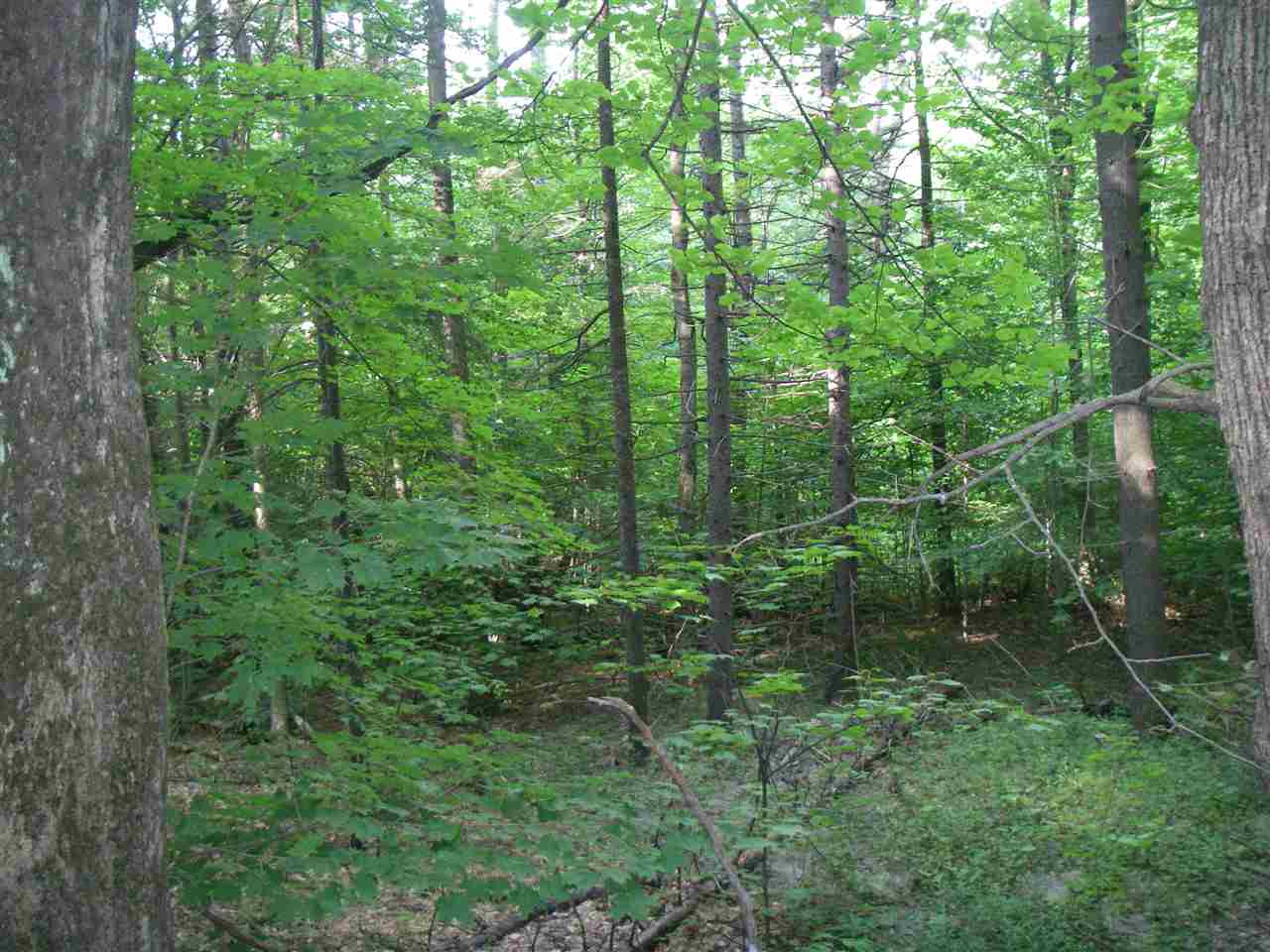 Beautiful wooded acreage, consisting of three...