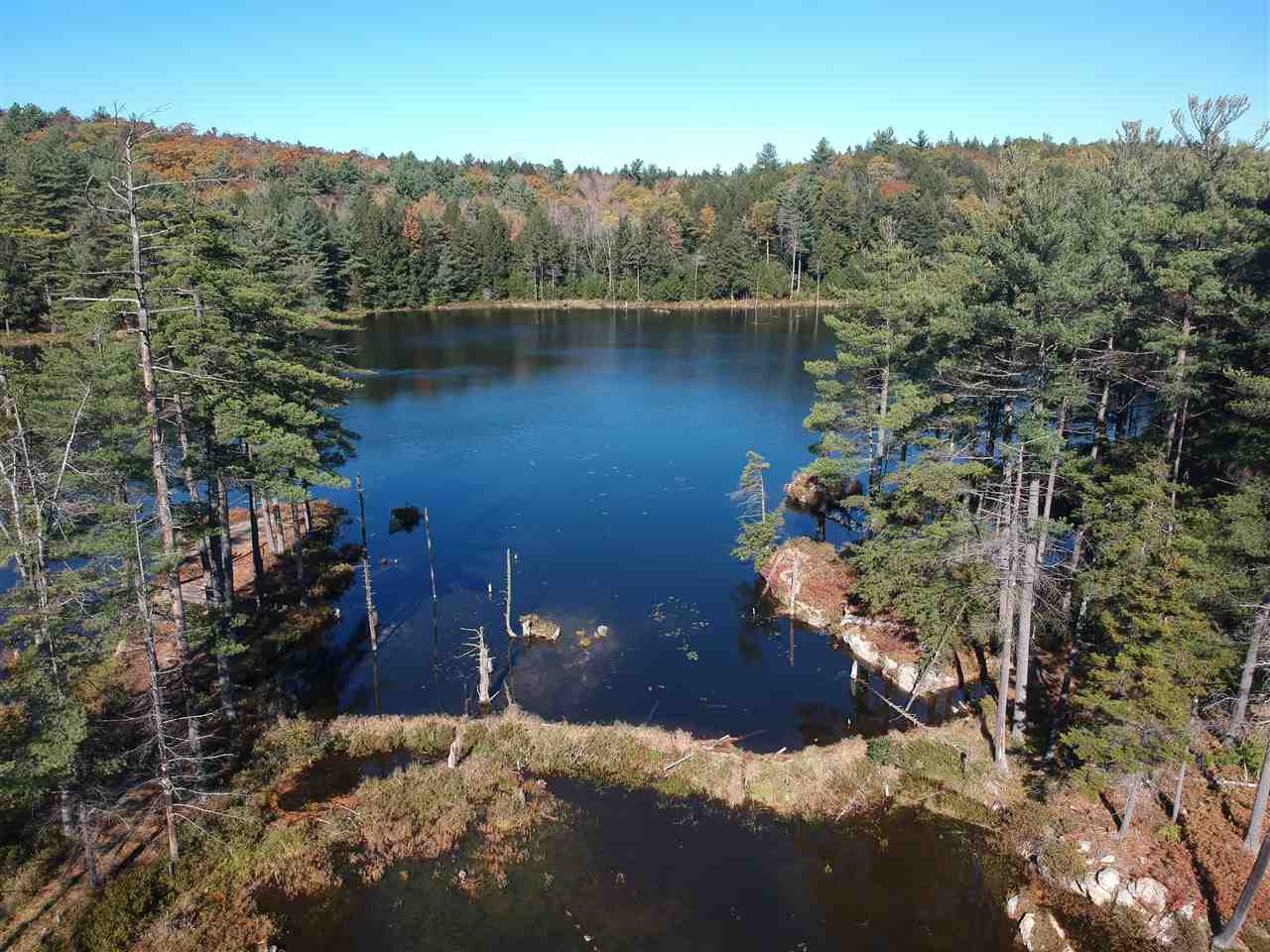 This is a beautiful, well stocked, wooded parcel,...