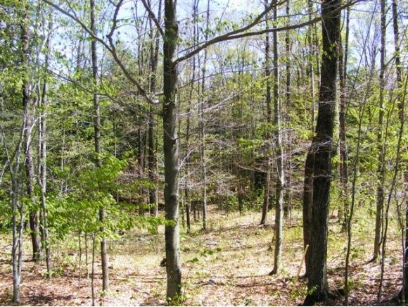 Nice lot on Newfane Hill. Land is gently sloping...