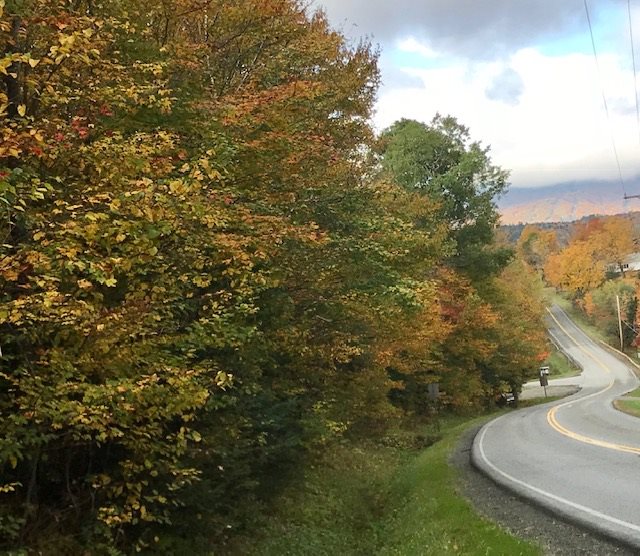 This 7 acre corner parcel from the original lot...
