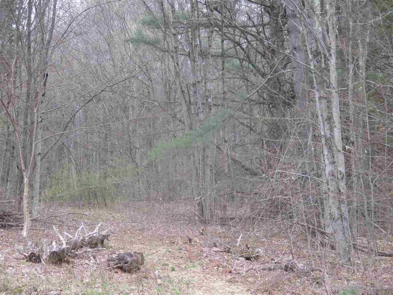 Unique buildable lot! This is a beautiful spot...