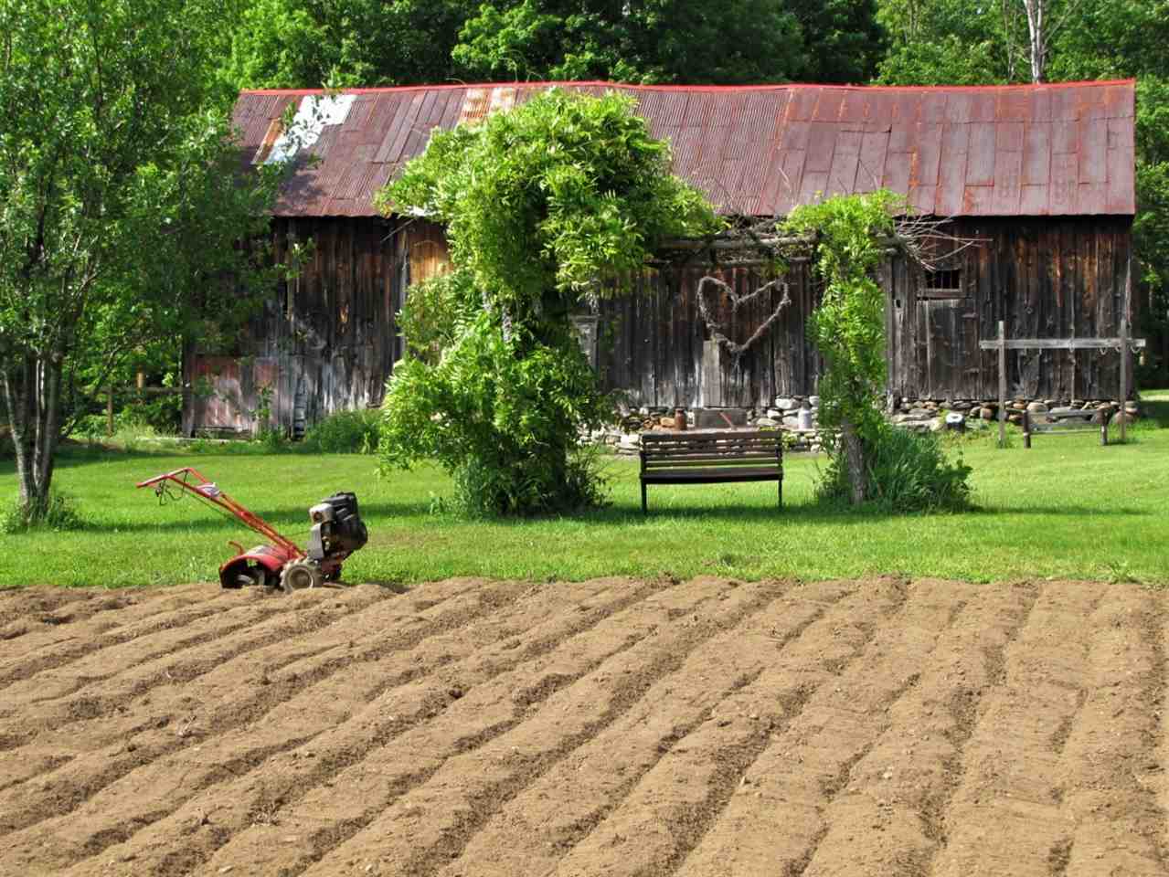 This wonderful country homestead is facing West...