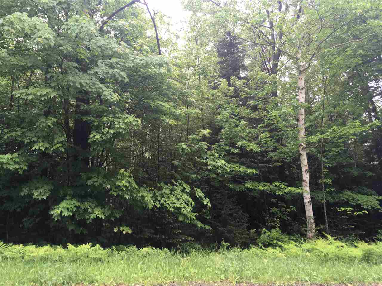 Build your Dream Home in this quiet corner of...