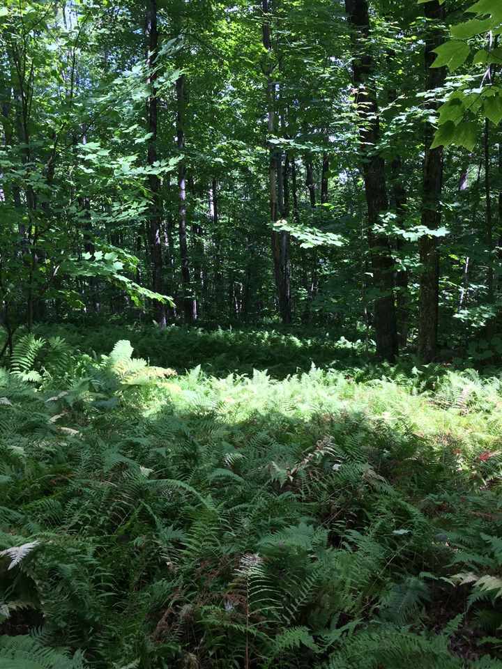 What an amazing find! 33.71 acres of secluded...
