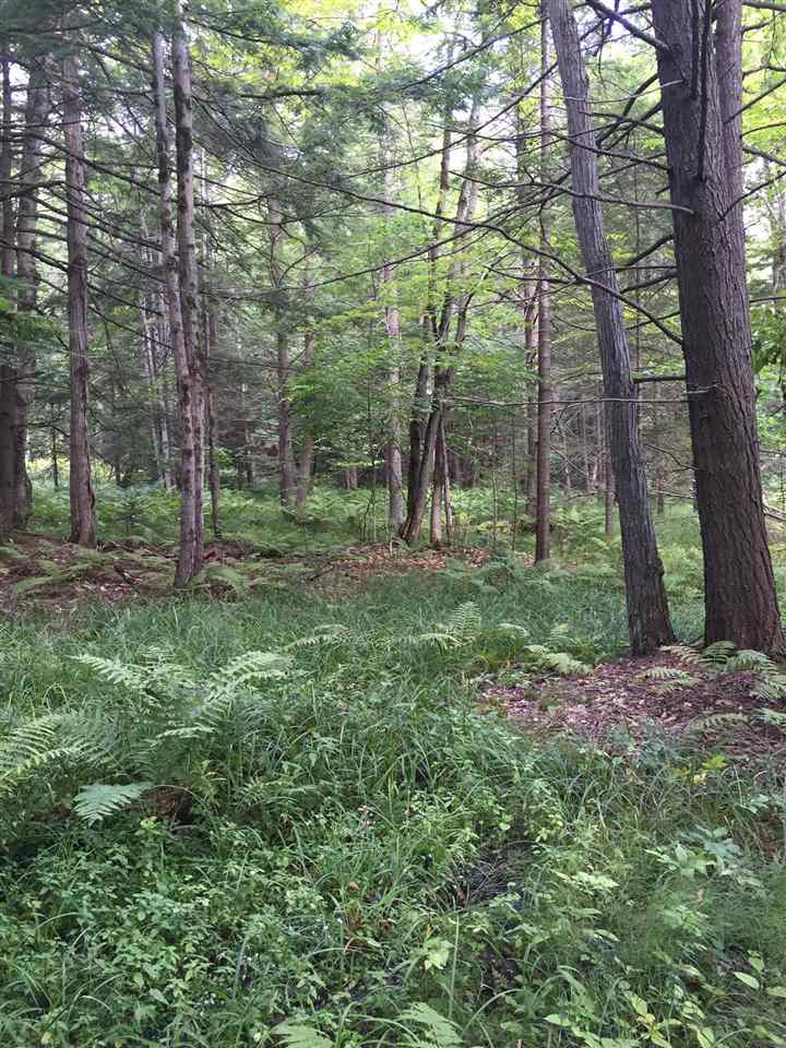 What an amazing find! Almost 65 acres of...