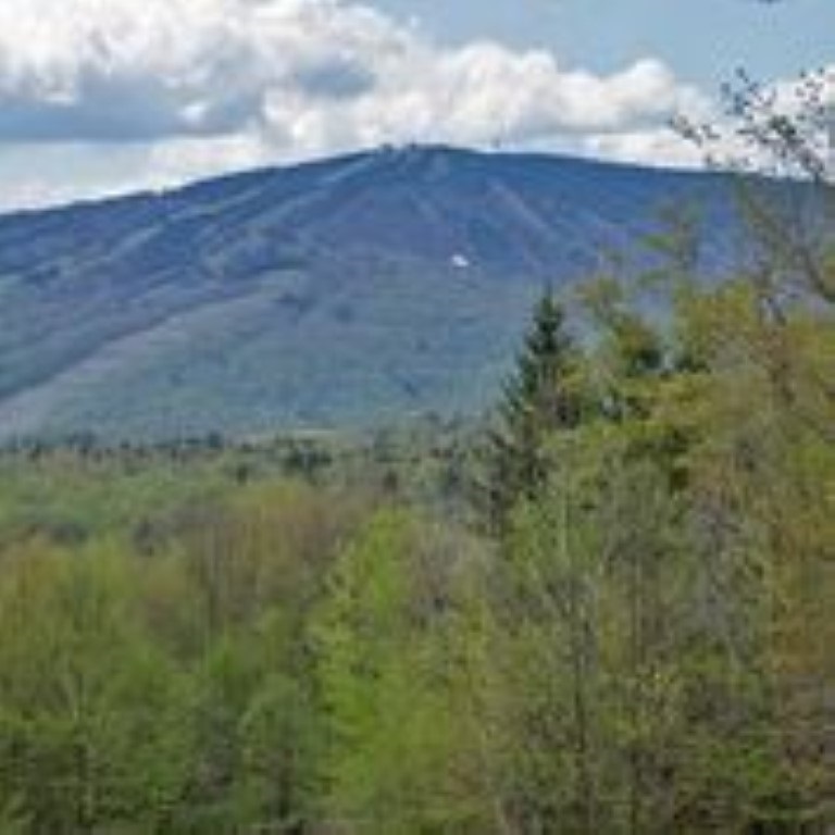 Possible subdivision for 3 lots, has been...