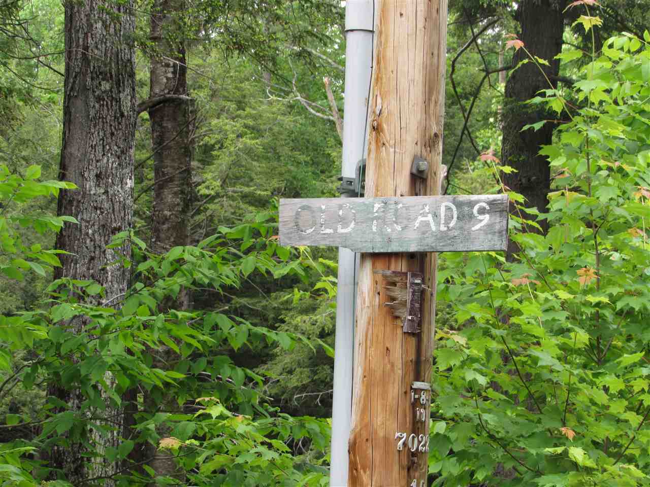 Old Road 9, country setting, wooded lot, Build...
