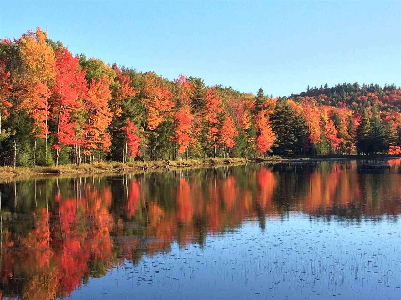 Spectacular opportunity to own a rare 40+ acre...