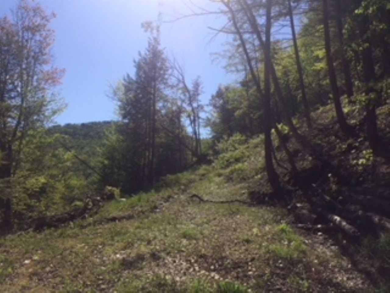 Large country parcel 79.7 acres tucked away in...