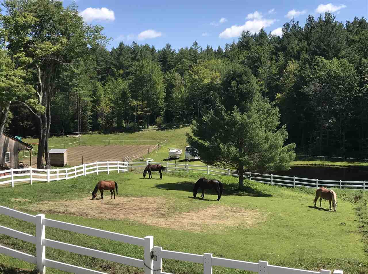Horse lovers take notice! Total privacy and...