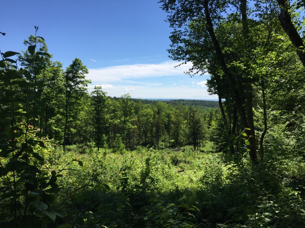 Very private yet accessible 222.46 acre parcel in...