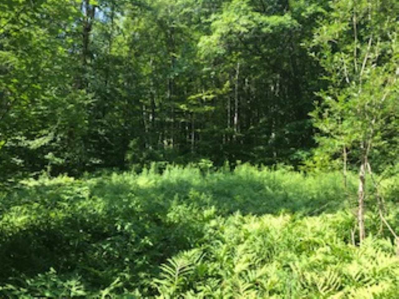 10 acre mostly wooded parcel with a small...