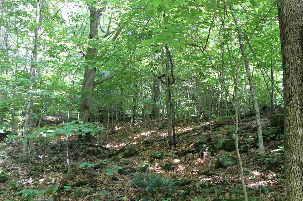 What a great location for you new home! The...