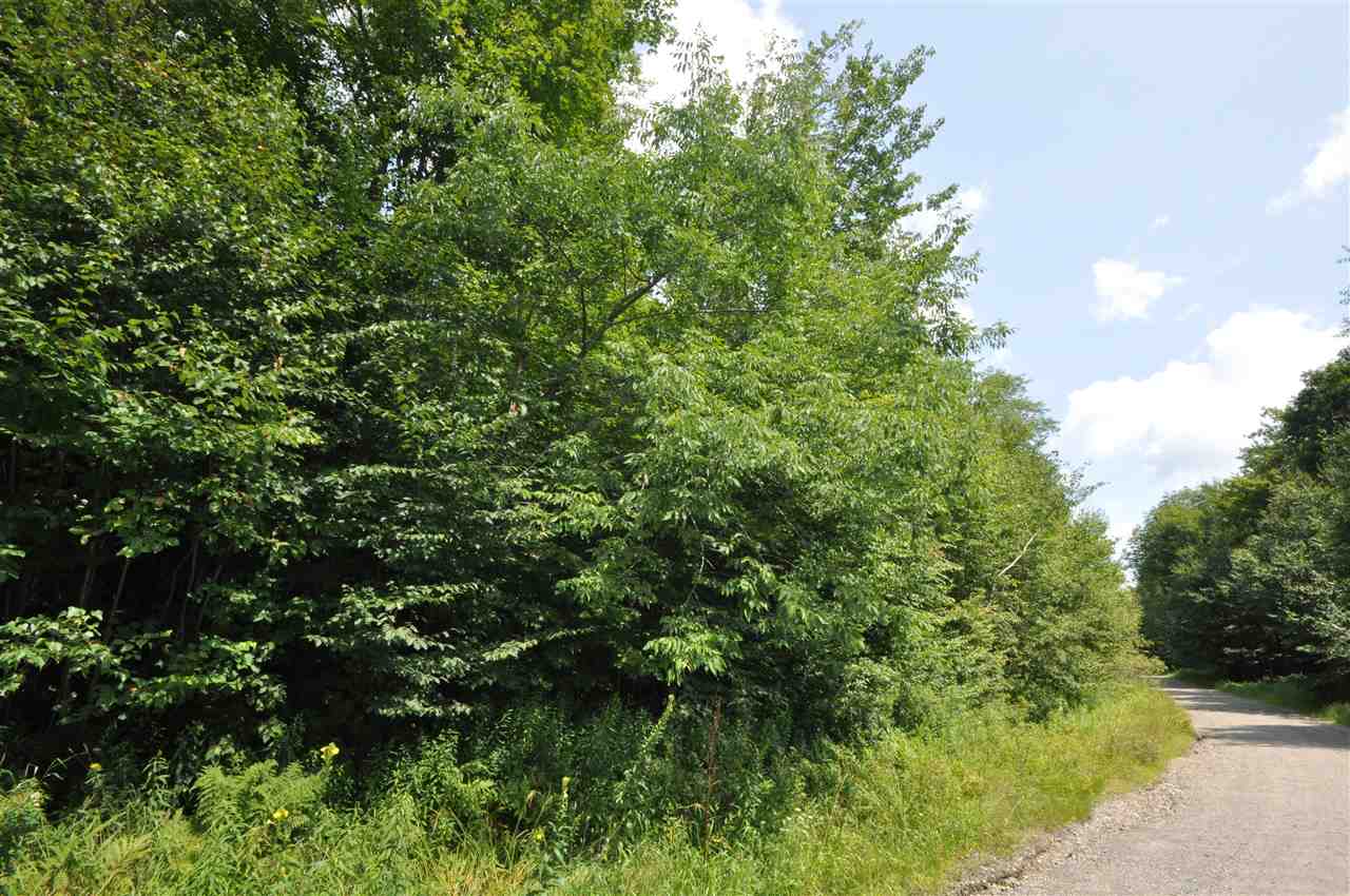 This 3+ acre lots offers the convenience of...