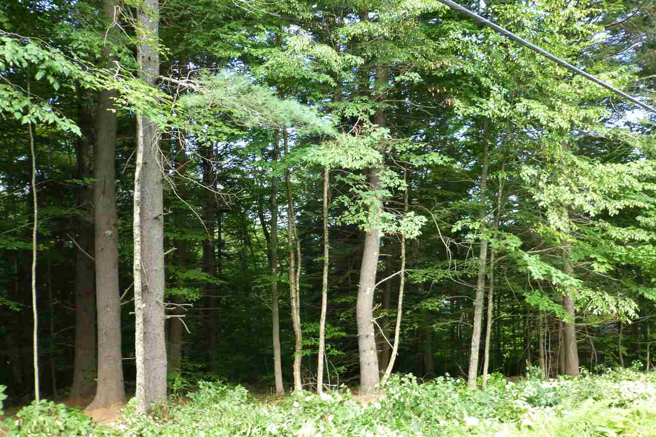 Affordable wooded lot with a pretty stone wall....