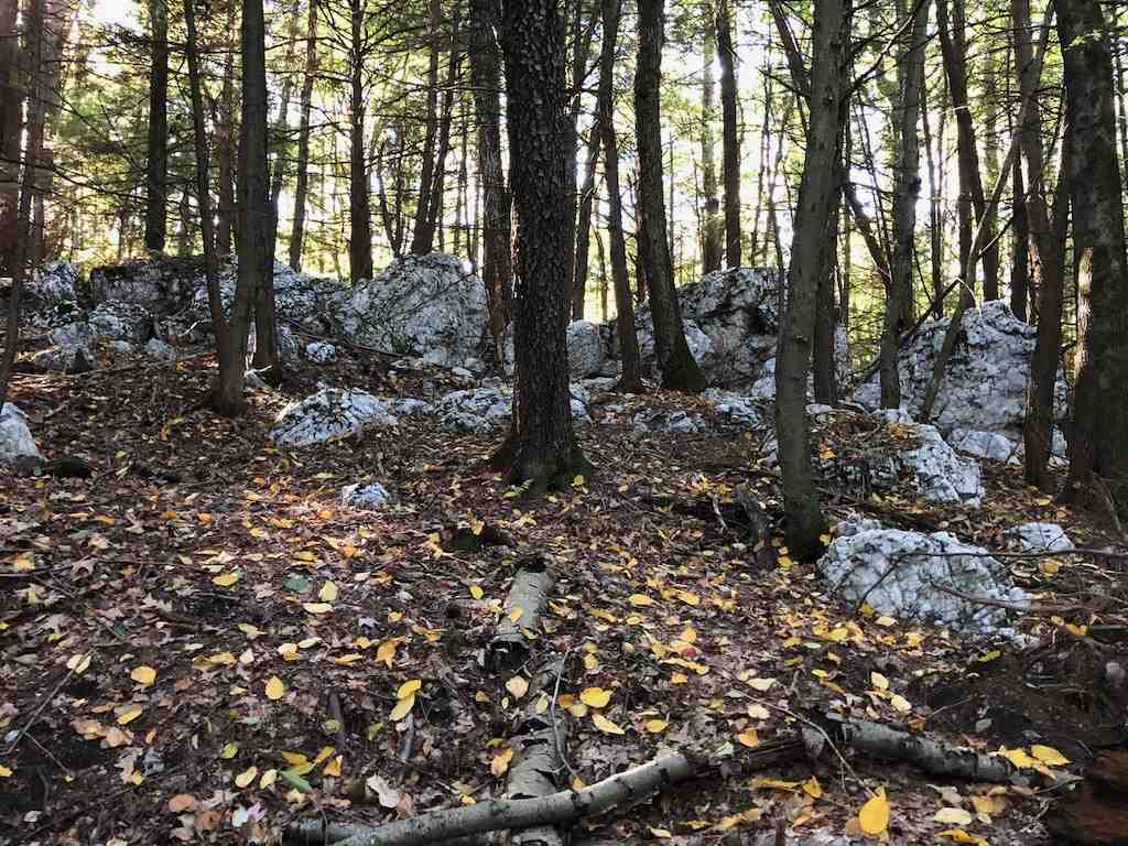 Undeveloped 10 plus acres. Access from Route 5 is...