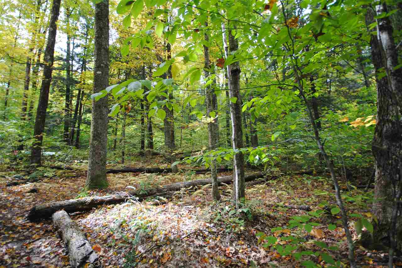 Perfectly secluded lot in West Wardsboro. 17+...