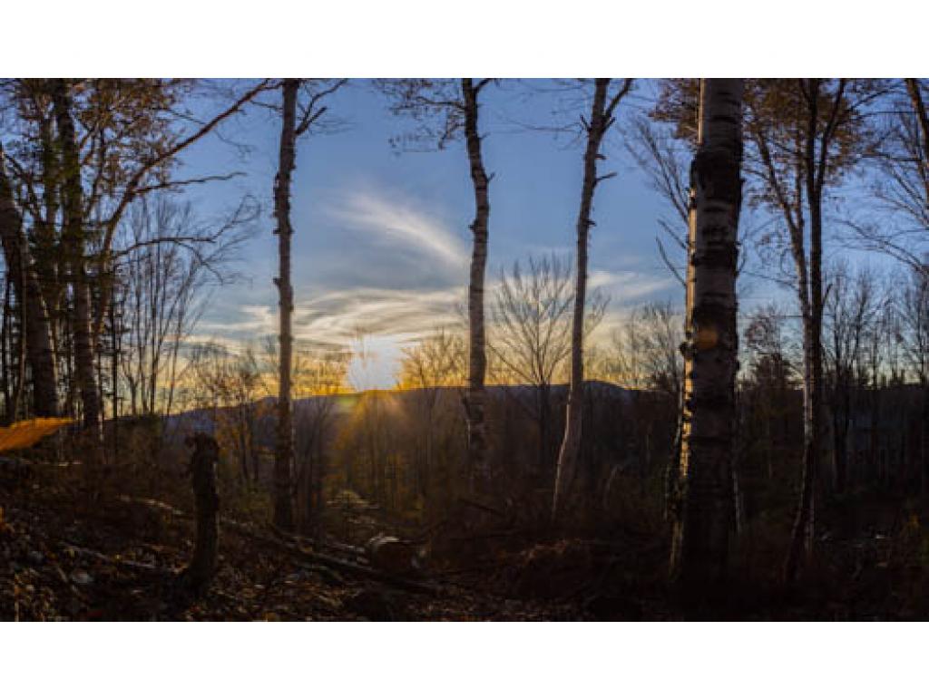 Grab your plans! Ready to go. Super building lot...
