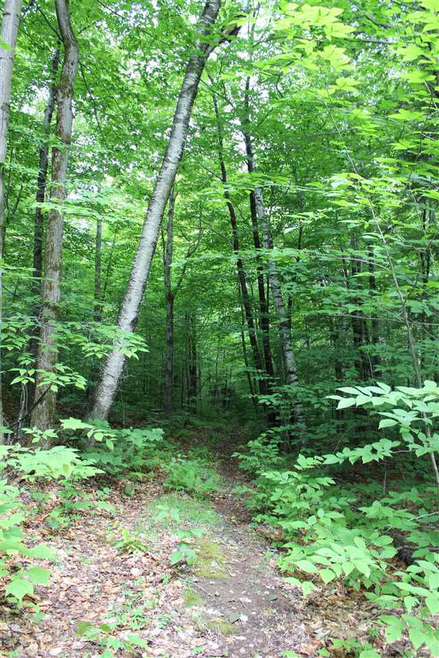 Be first in on this incredible 10 acres about to...