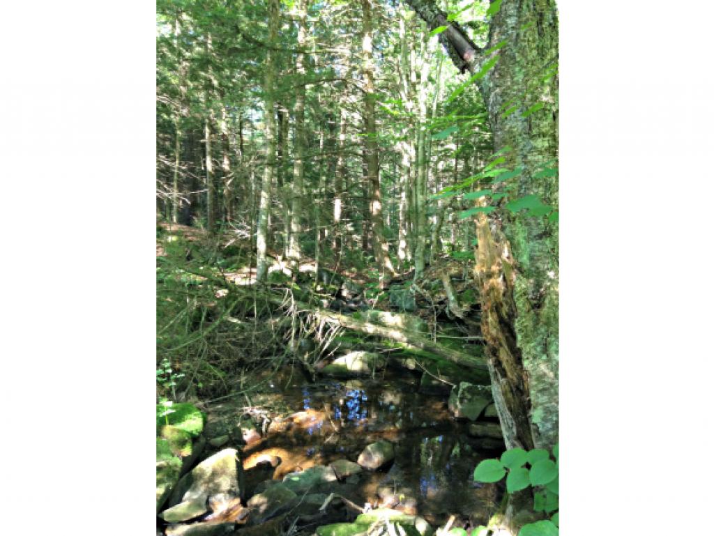 Nicely wooded 3+acre parcel with brook located on...