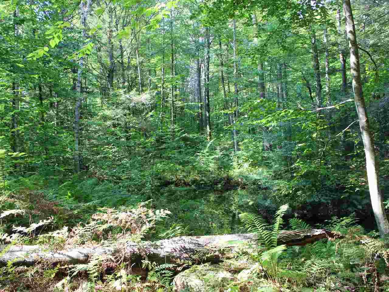 What a surprise! Direct access to the VAST trail...