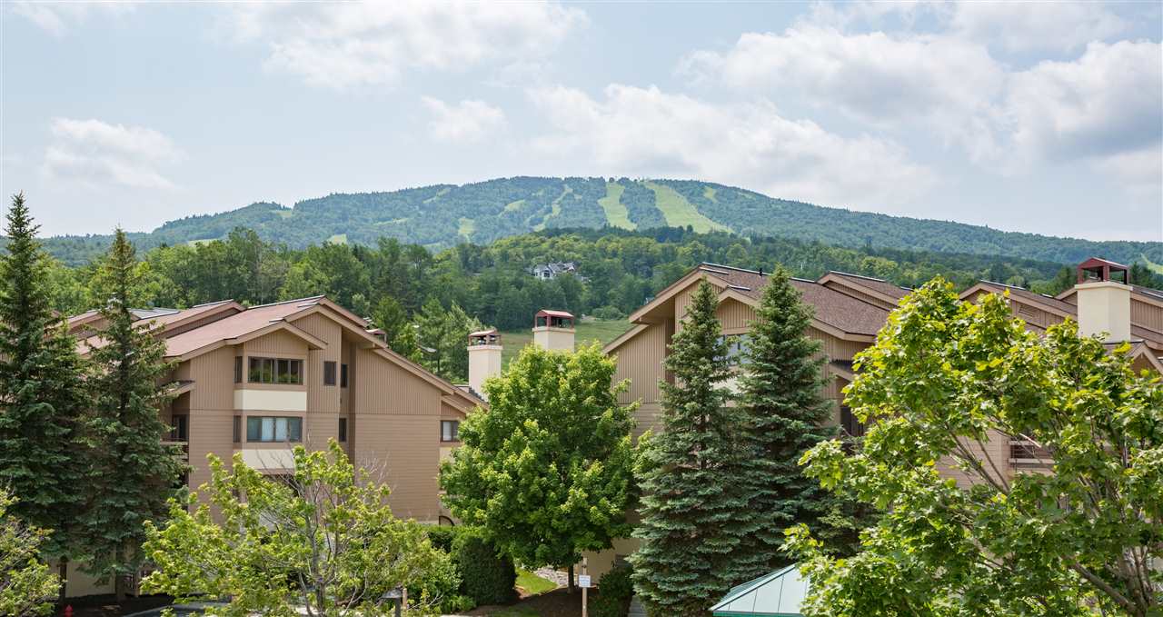 Trailside at Stratton Mountain! The Watch...