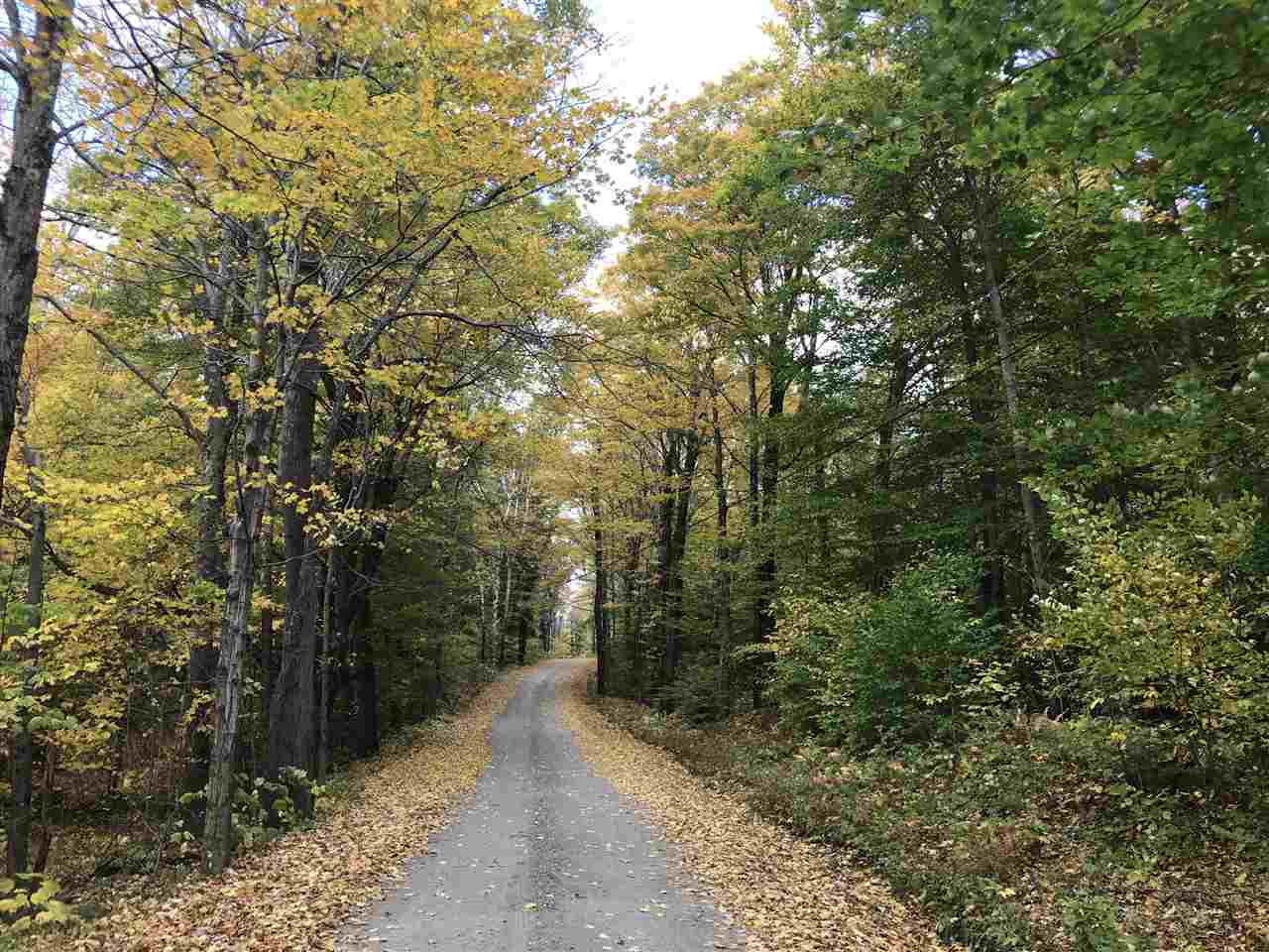 21.4 acres with nearly 1000 feet of town road...
