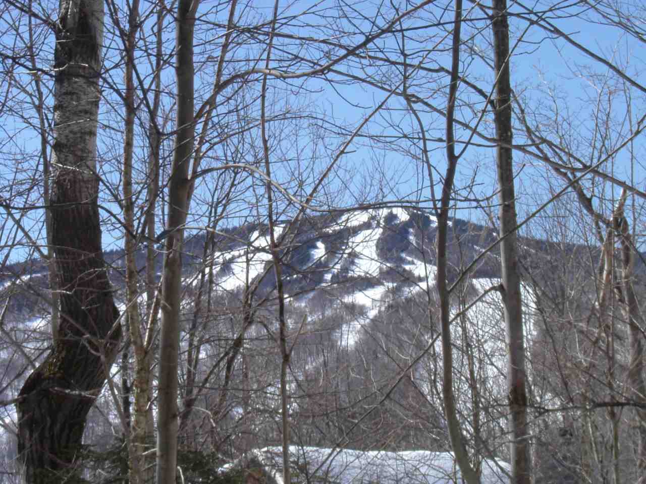 Level building lot just north of the Mount Snow...