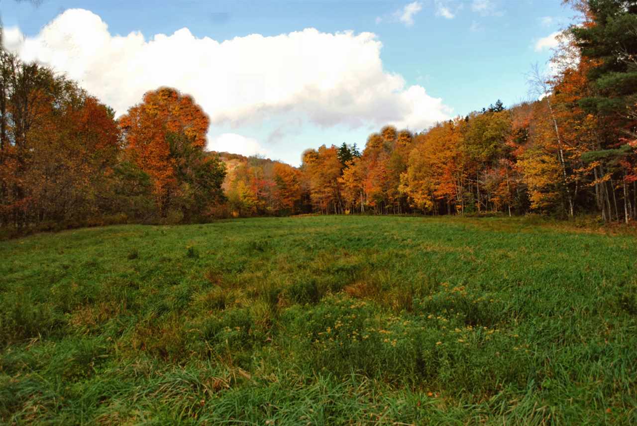 35 acres situated on the picturesque Blue Brook...