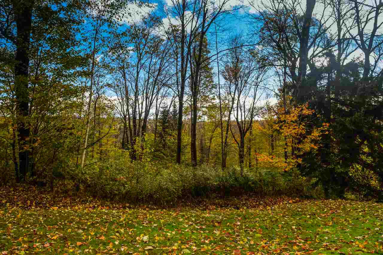 Beautiful sloping building lot just up from Lake...