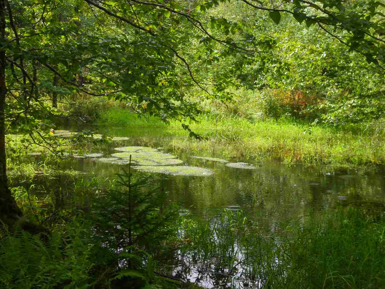 This 45.7 +/- parcel could be a Vermont Life ...