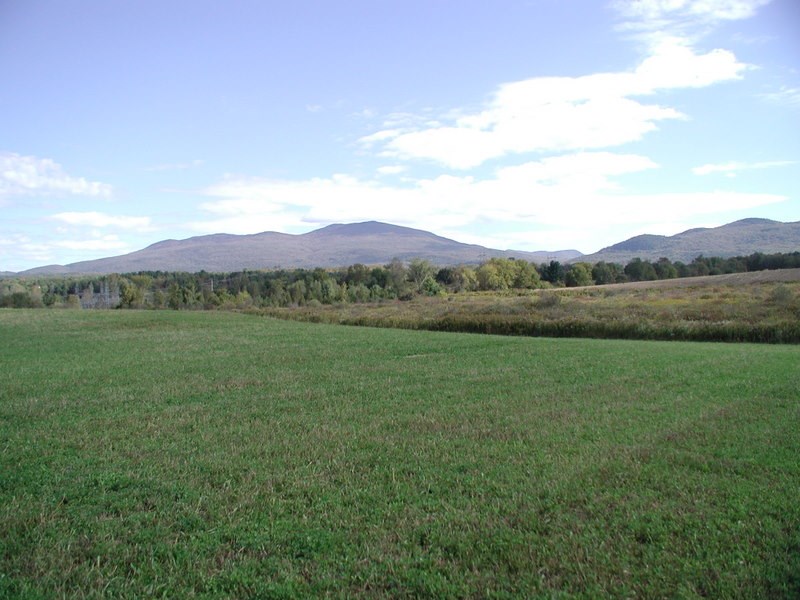 32 ACRES PRIME COMMERCIAL LAND, 672 feet of road...