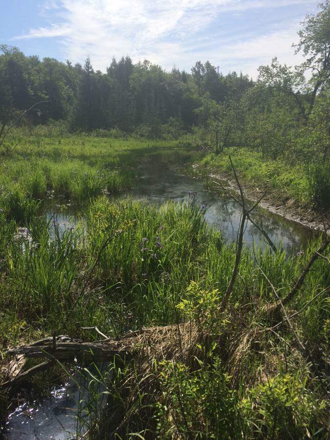 10.1 beautiful acres sloping down with eastward...