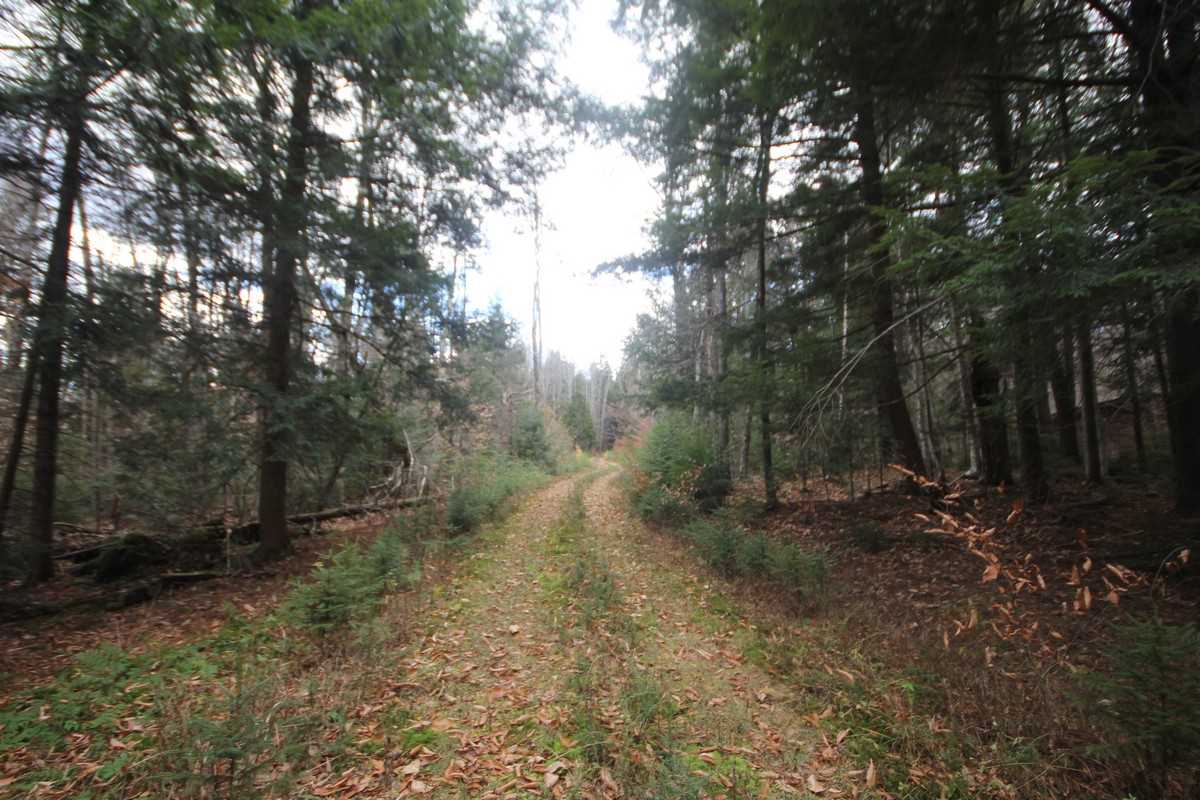 Nestled in the woods just off the paved road...