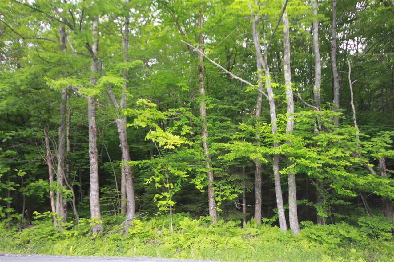 Great opportunity to own a parcel of land nestled...