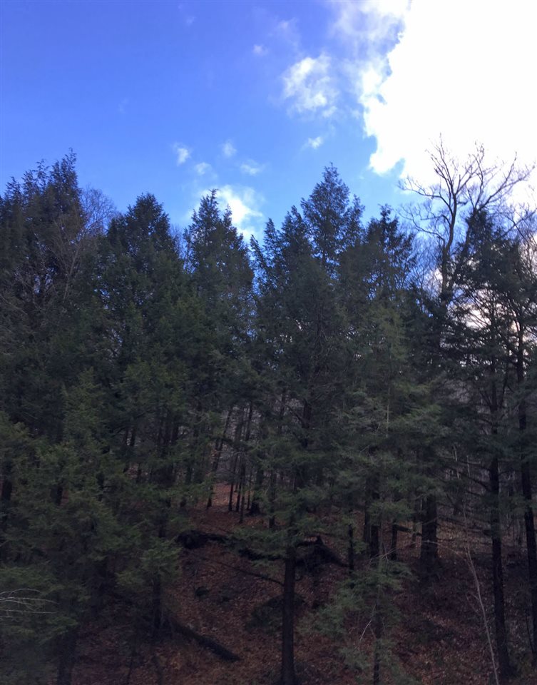 Lot #4 Pike Farm Road is a part of a 5 lot...