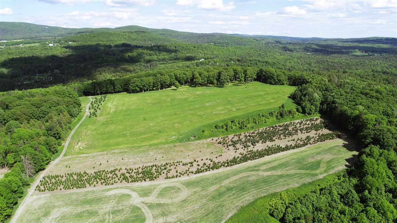 Walden Real Estate listings, Walden Vermont homes and properties for sale