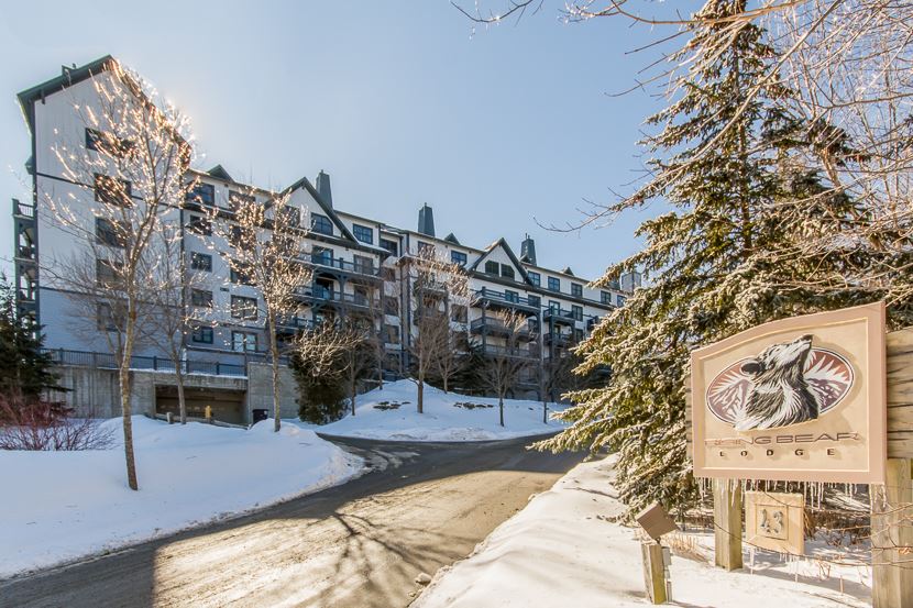 Rising Bear 310! Beautifully furnished three...