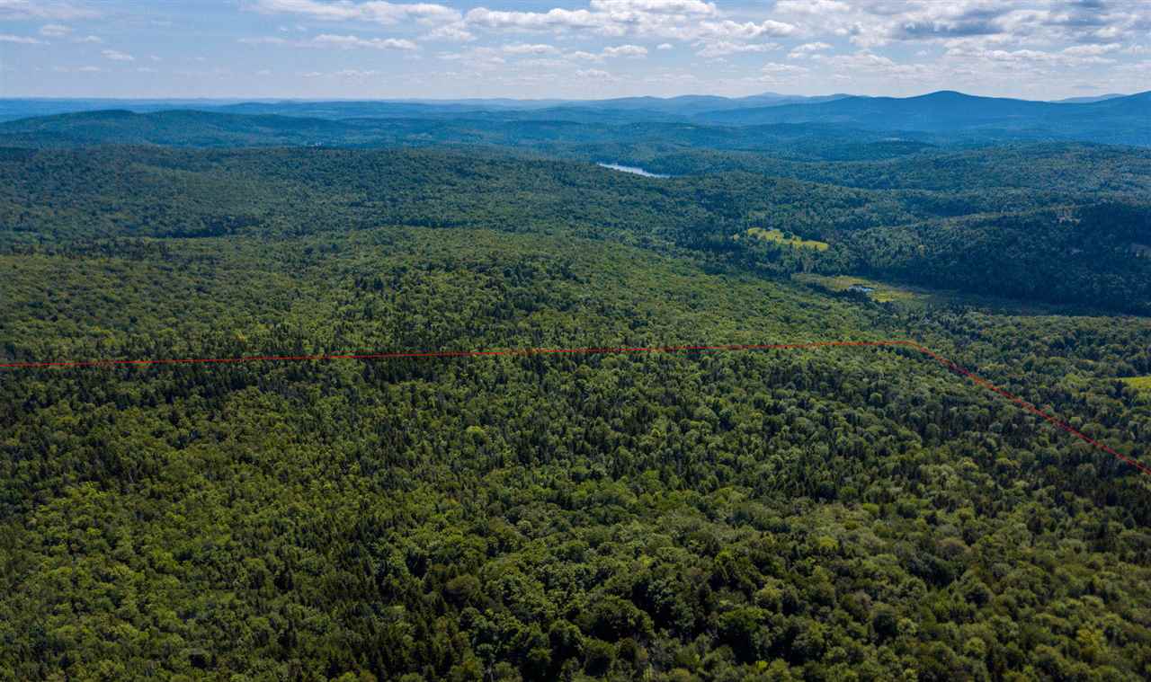 Mountain top views from this 60+/- acre wooded...