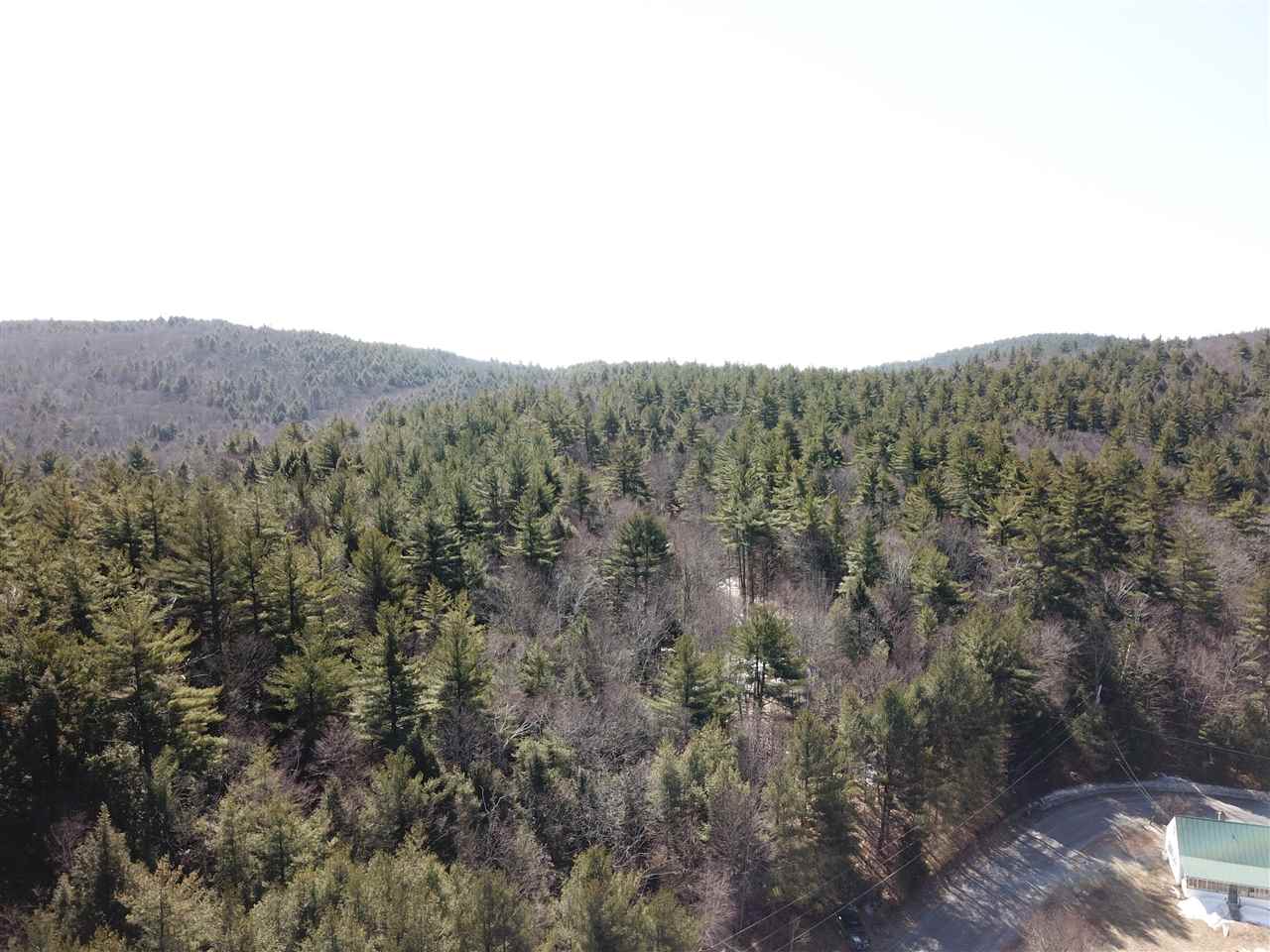 50 acres of rolling land with long road frontage...