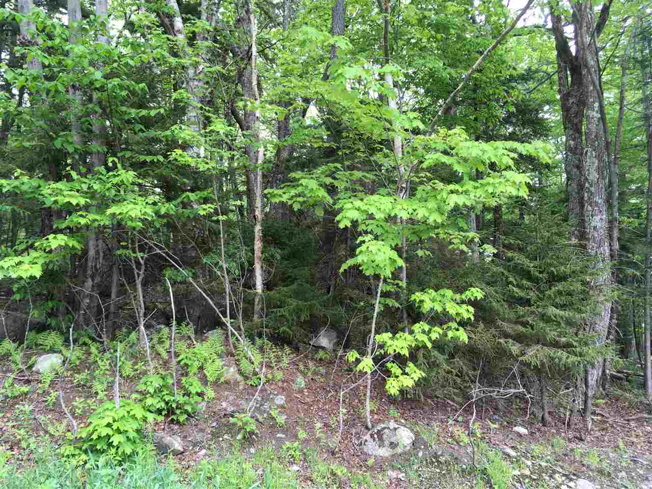 Top of the Hill! Build your dream home on this...