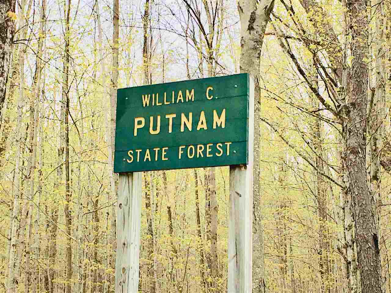72 acre lot bordering The Putnam State Forest....