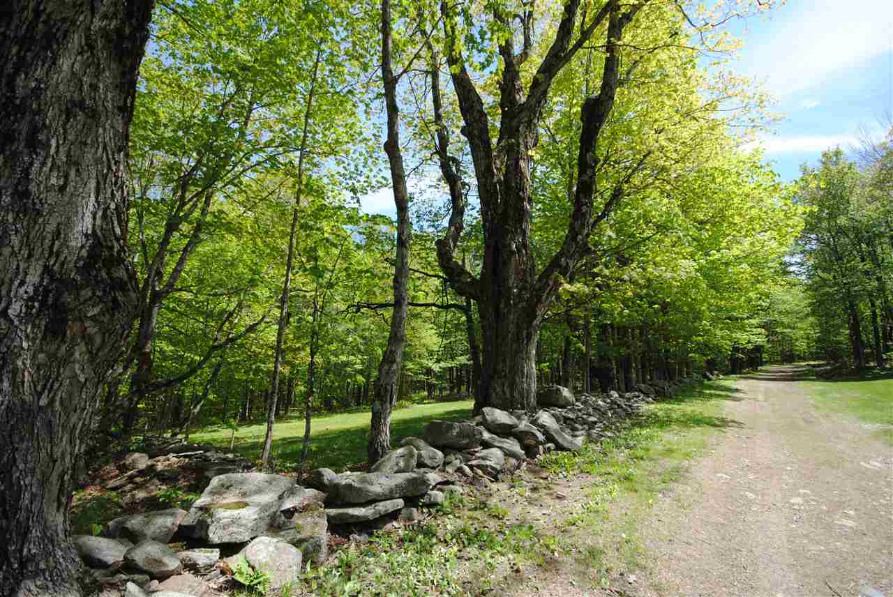 Wonderful 7+ acre lot on Fuller Hill Rd in...