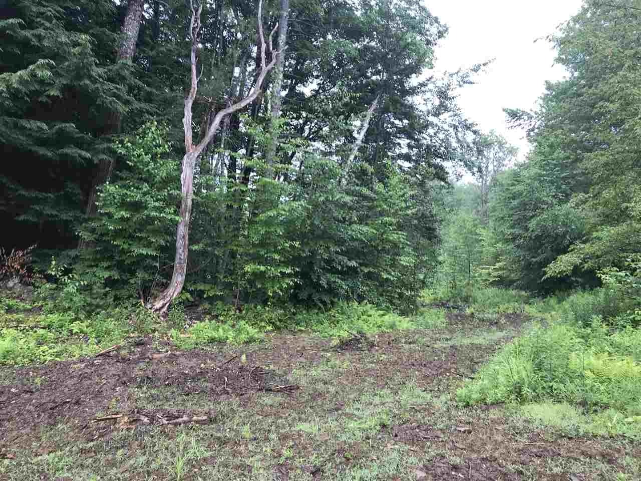 Two surveyed wooded lots in the hills of Grafton,...