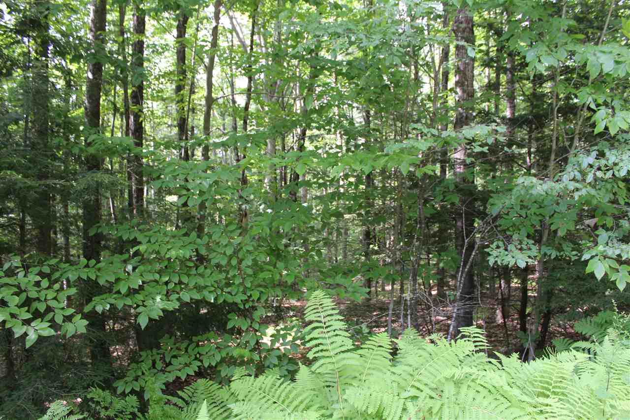 Long frontage on the Wardsboro Brook, this...