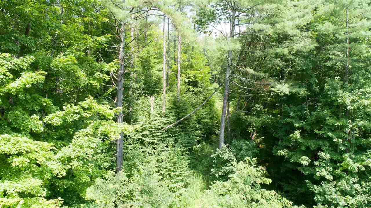 Two separately deeded properties sold together....