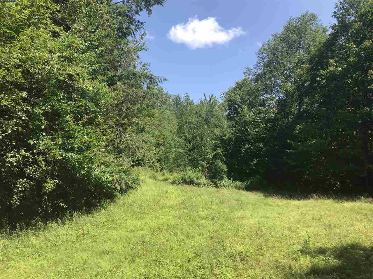 Wooded ten acre site with mature maple and pine...