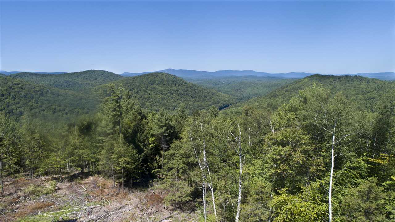 A rare offering, this 90 acre parcel is located...