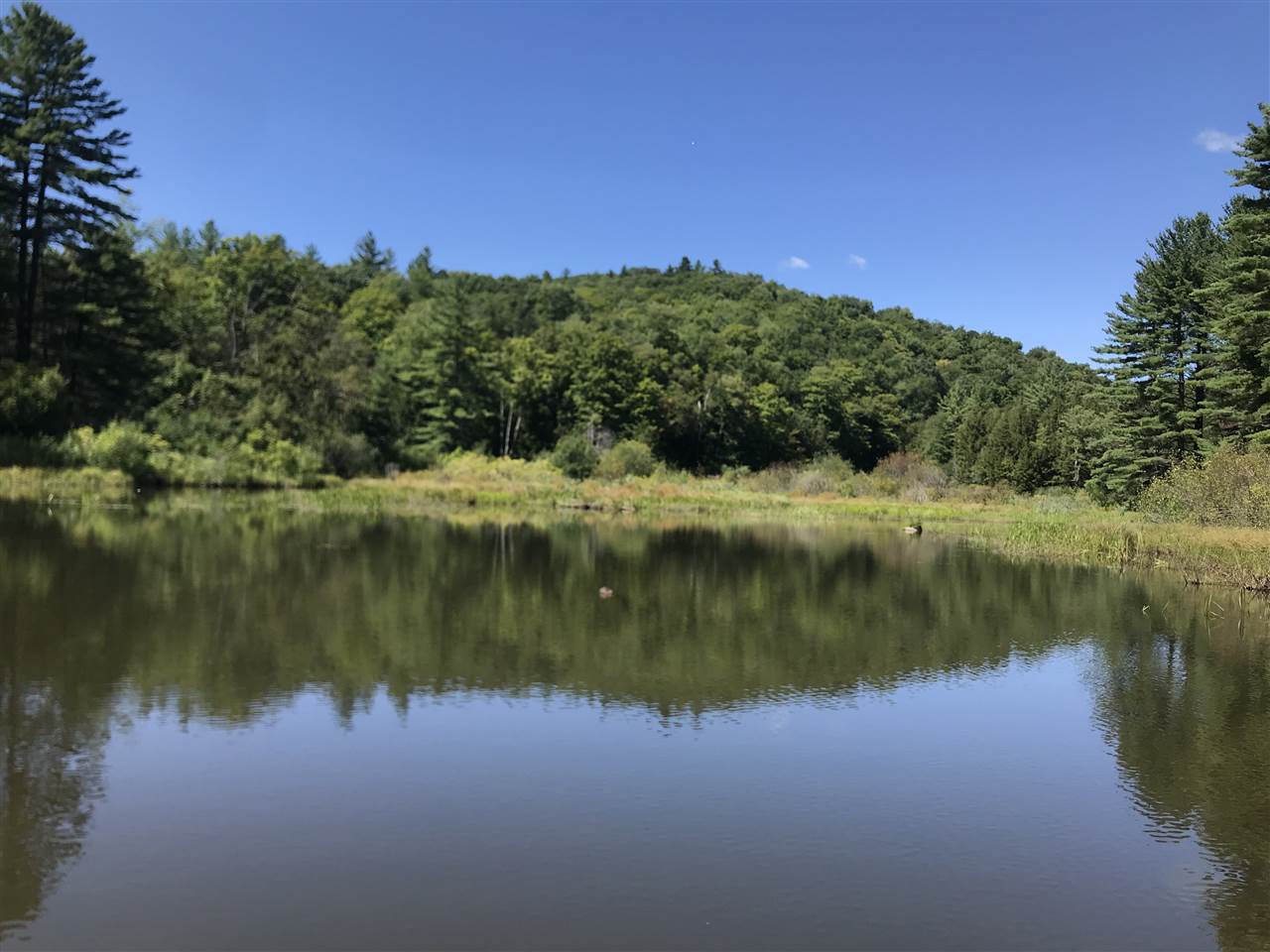 The Denison Forest is comprised of 1,240 acres of...
