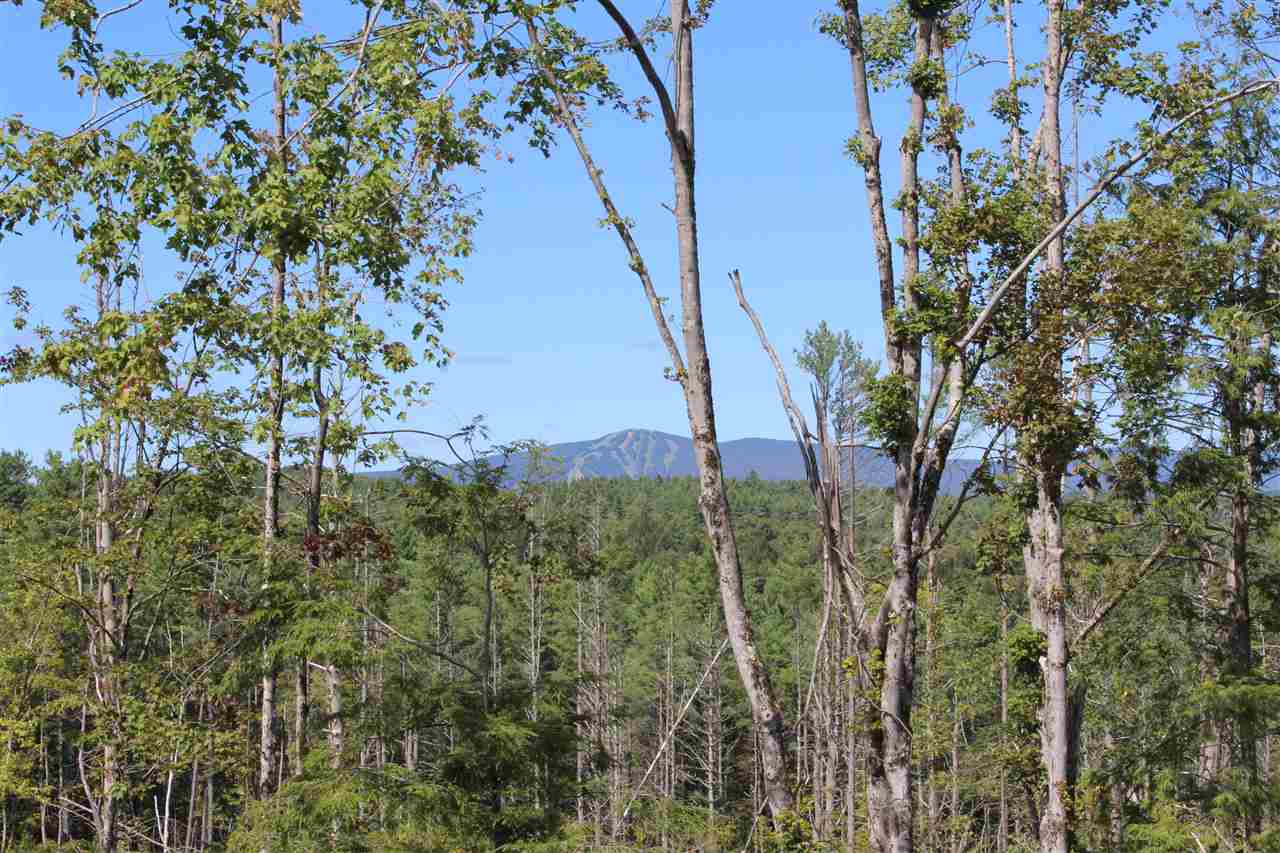 Bromley Mountain View!! This parcel offers some...